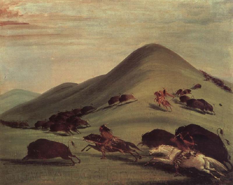 George Catlin Buffalo Chase Over Prairie bark Spain oil painting art